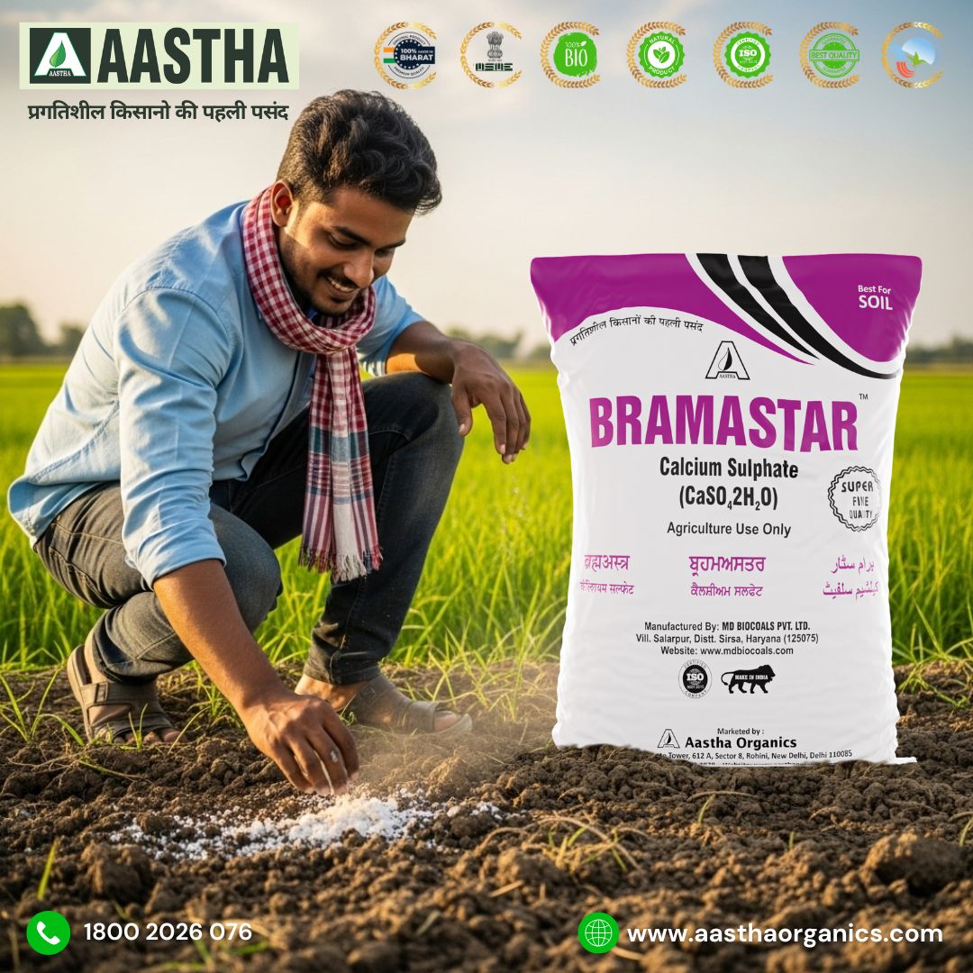Bramastar Gypsum – The Natural Soil Conditioner for Healthy and High-Yielding Crops 